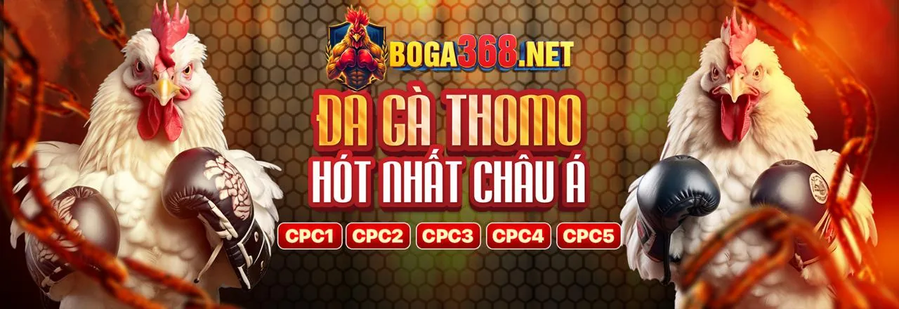 Đá gà trực tuyến 188BET nhà cái