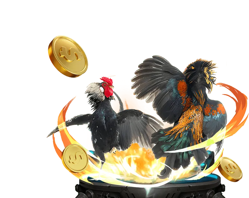 Các loại kèo cược đá gà 188BET